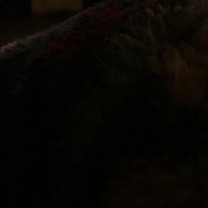 Meet your Posher, Kristin